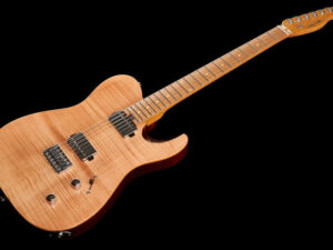 Harley Benton FUSION-T HH HT ASADO